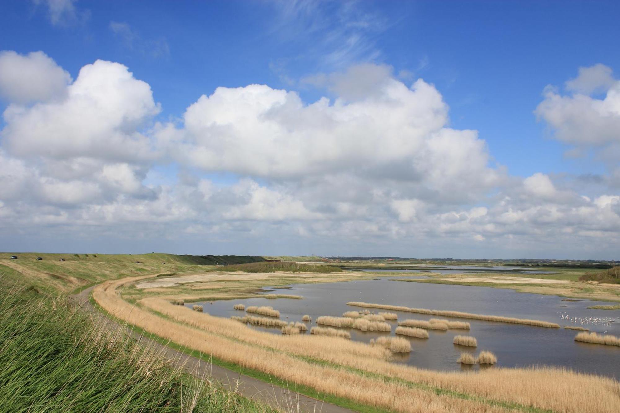 103C Nieuwe Vakantiewoning Met Sauna Westkapelle Buitenkant foto